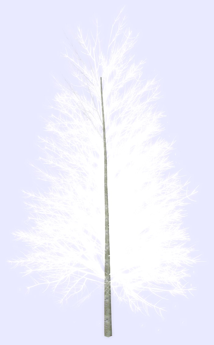 Five 3D Snowed Trees