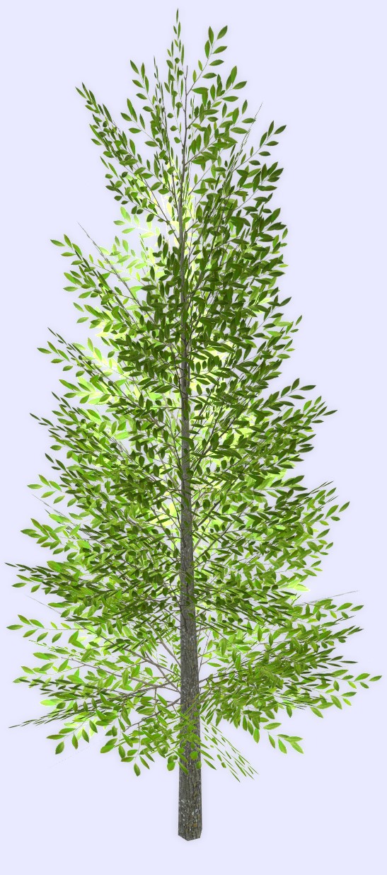 3D Windless Early Spring Tree 1