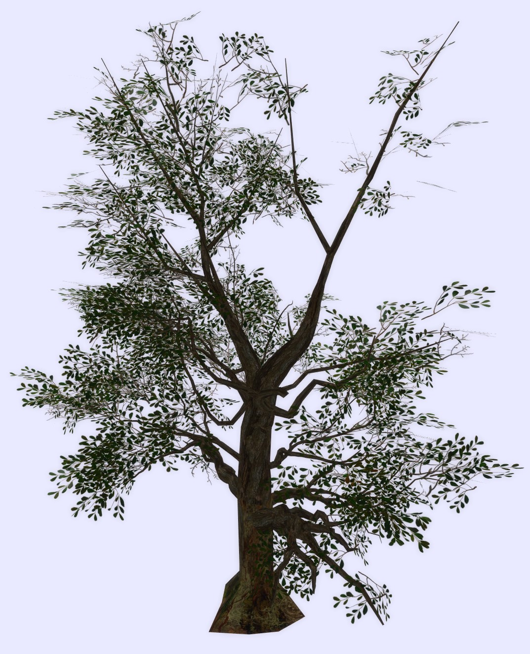 3D Windless Early Spring Tree 2 